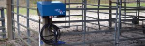 Barn Stables Hookup
